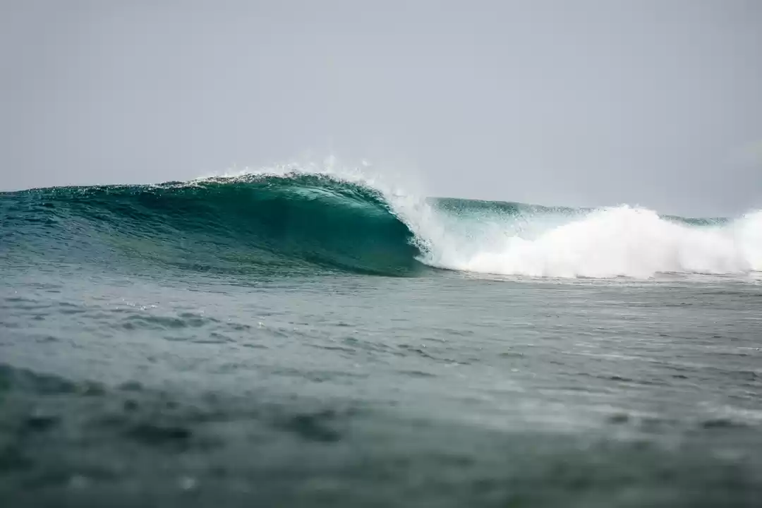 Photo of The Rise of Surfing