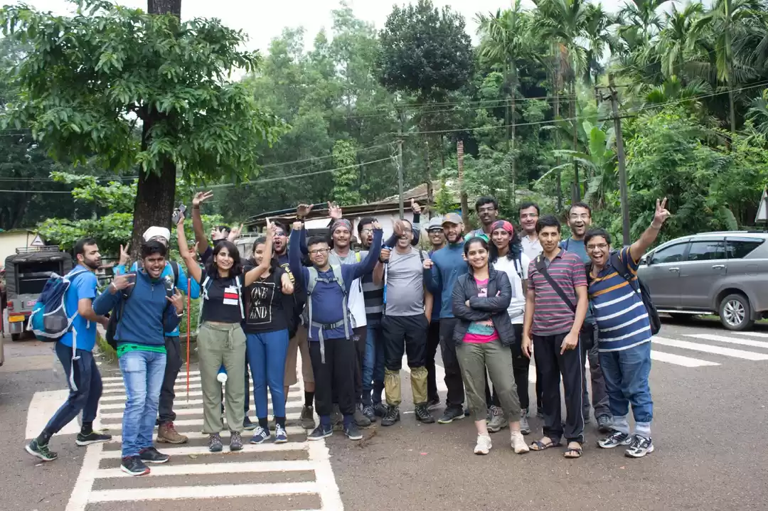 Photo of The Sea of Foliage -