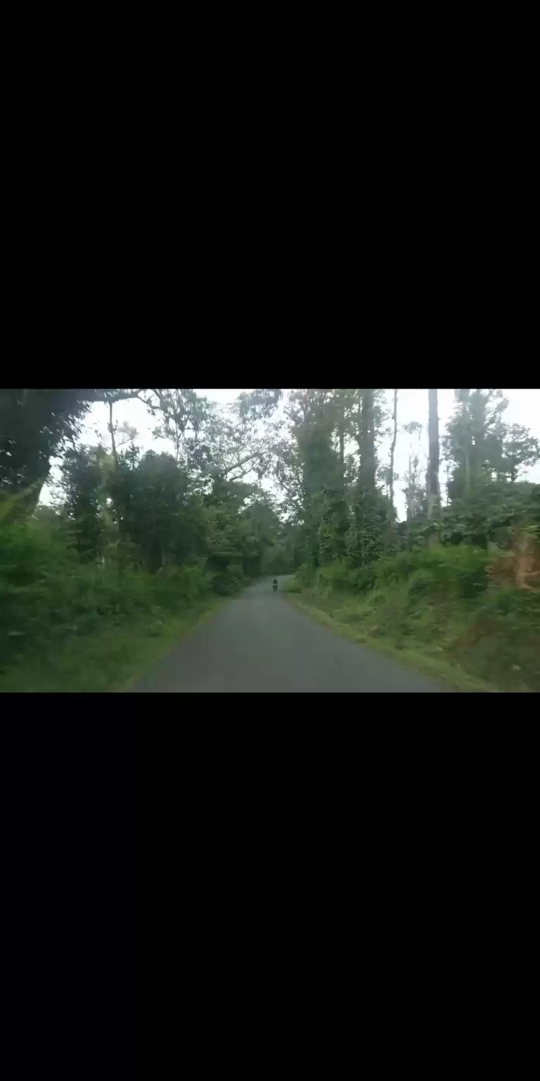 Photo of Coorg-Scotland of In