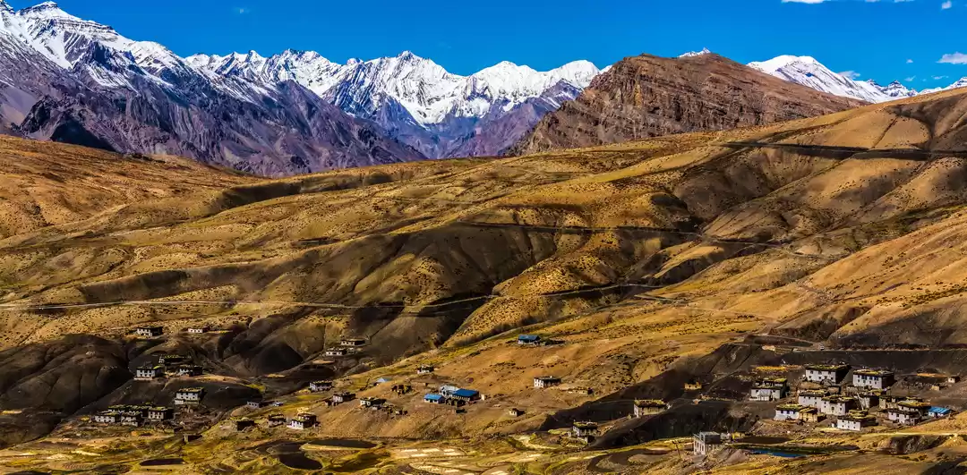 Photo of S-P-I-T-I Complete C