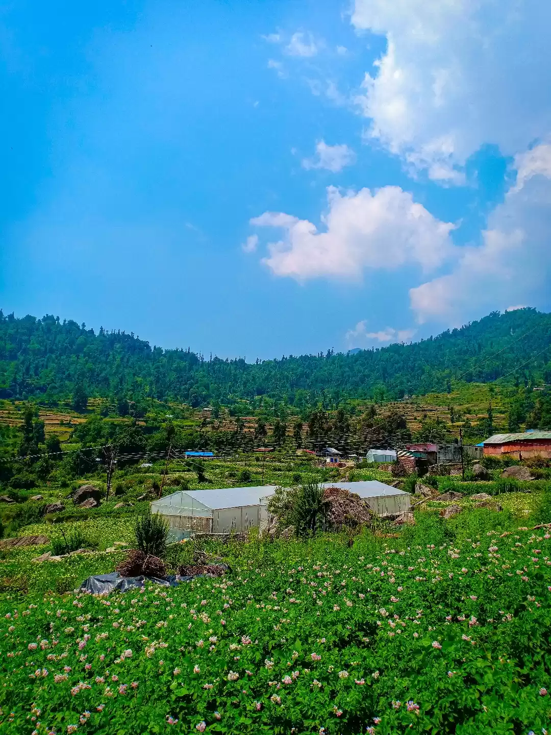 Photo of Heaven in hills - Ba