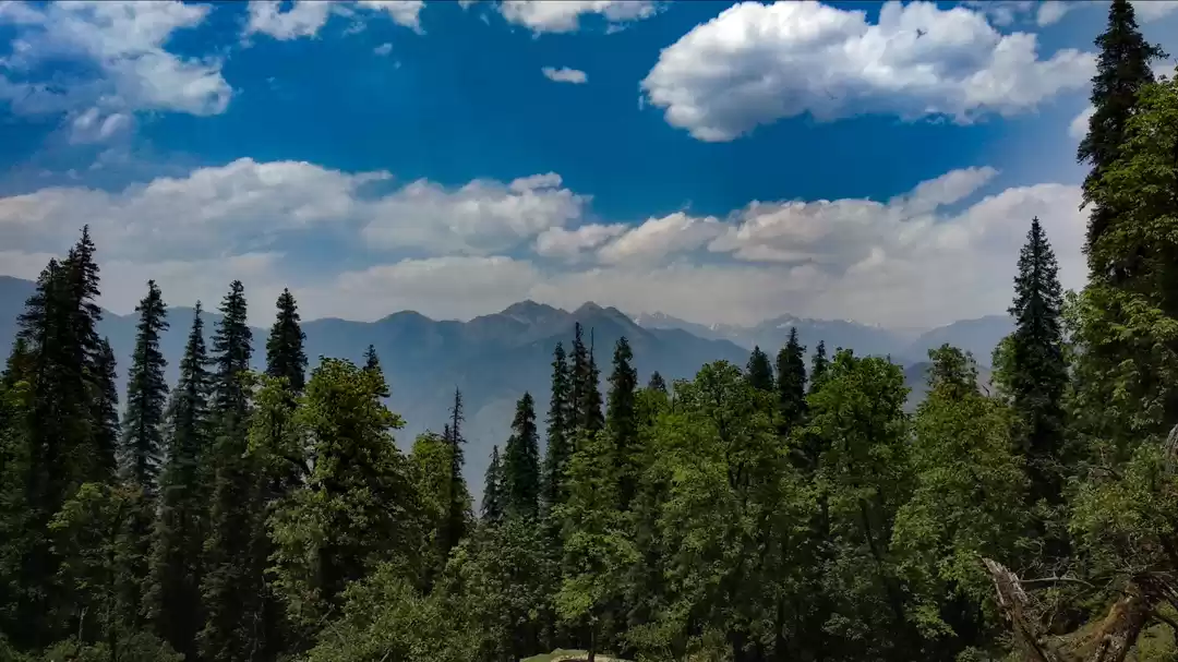 Photo of WINTERS IN NORTH IND