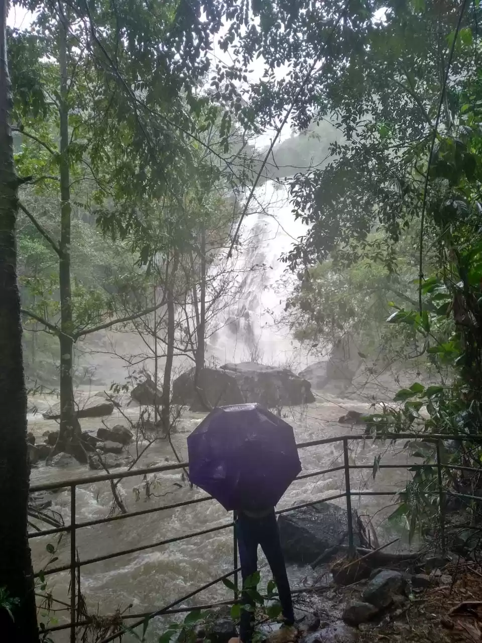 Photo of Drenched in Thushara