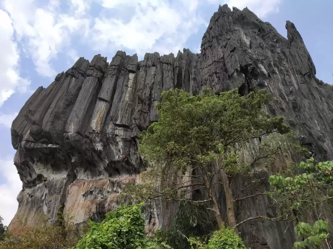 Photo of Glimpses of Coastal 