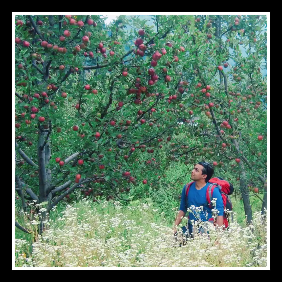 Photo of Kushal Bhardwaj
