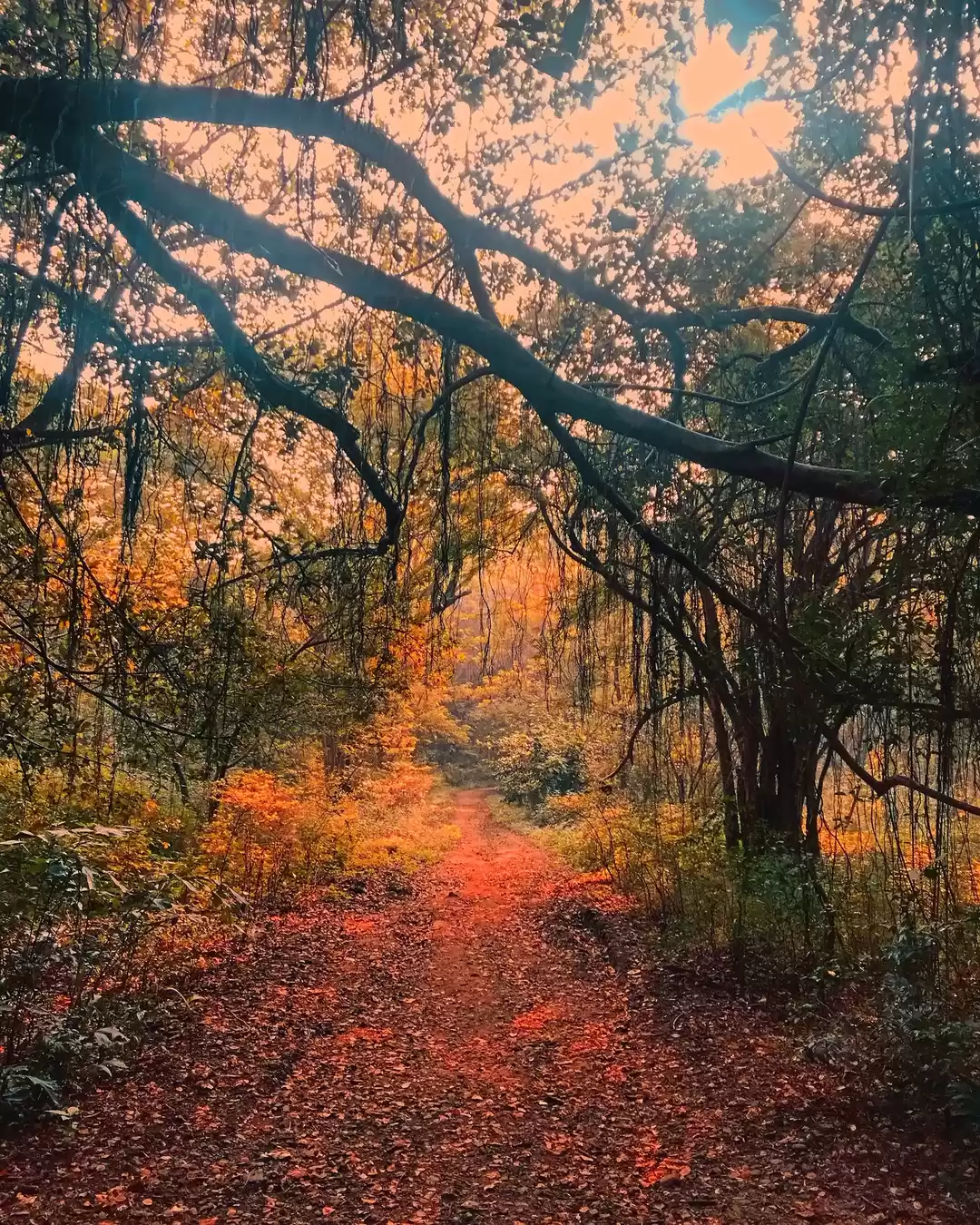 Photo of Unlock travel: Explo