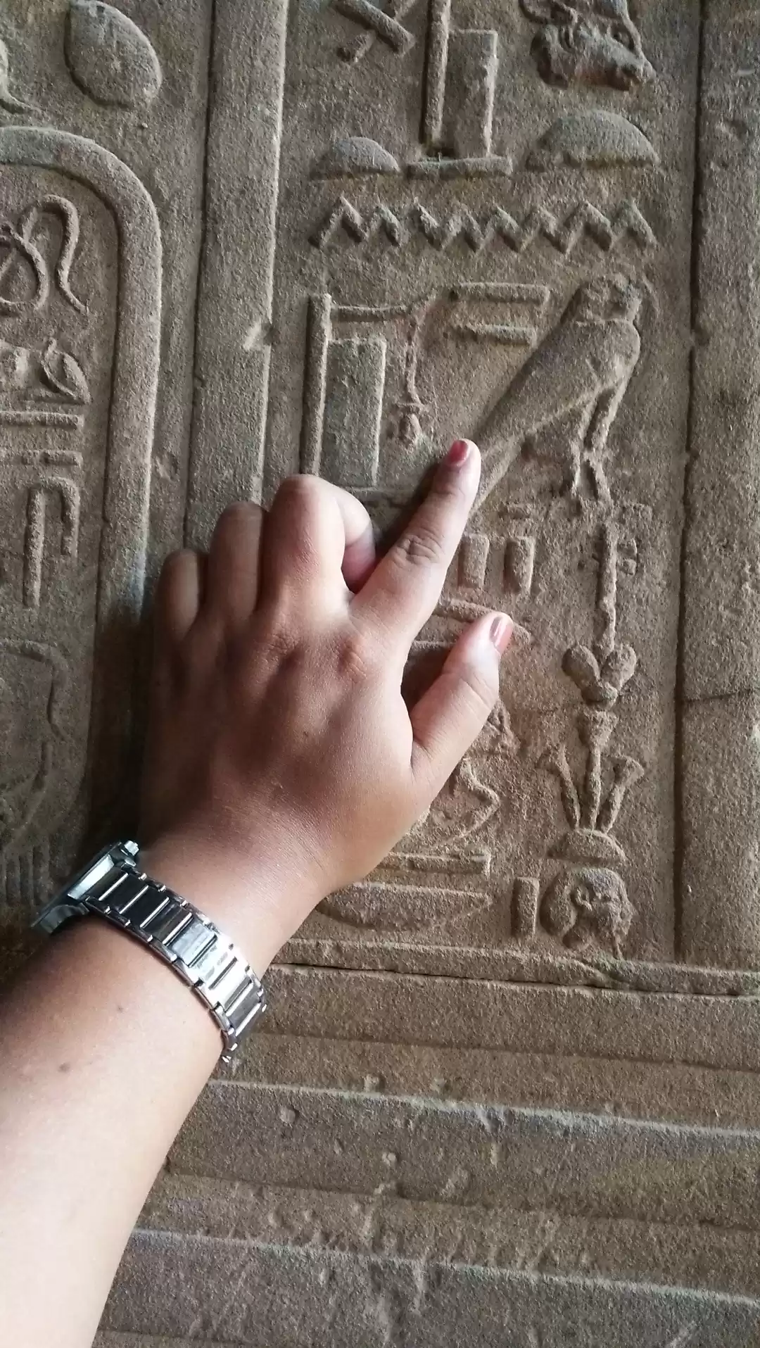 Photo of Your offbeat 8 days