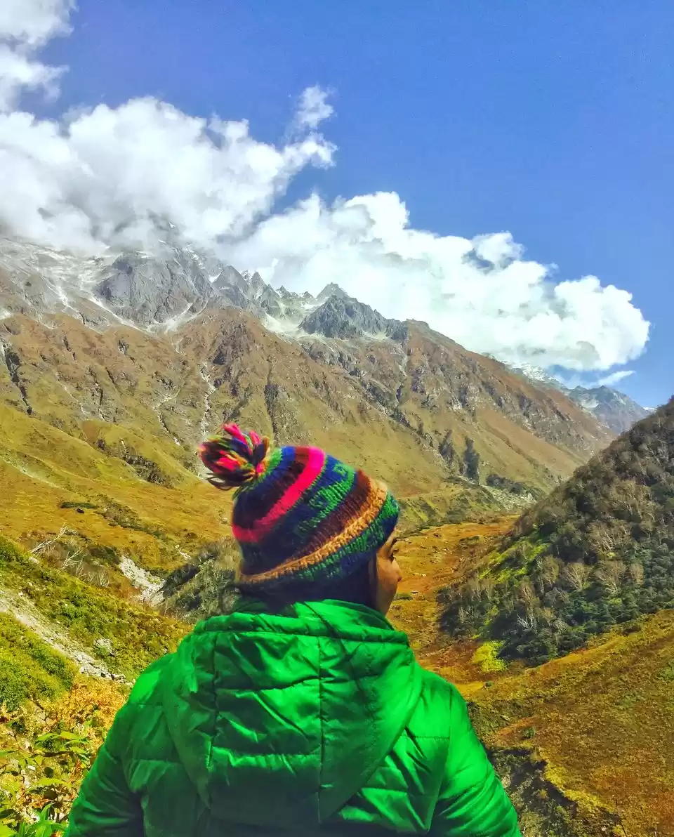 Photo of फूलों की घाटी: उत्तर