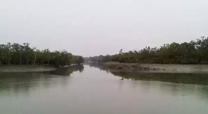 Photo of सुंदरवन : बाघों का व