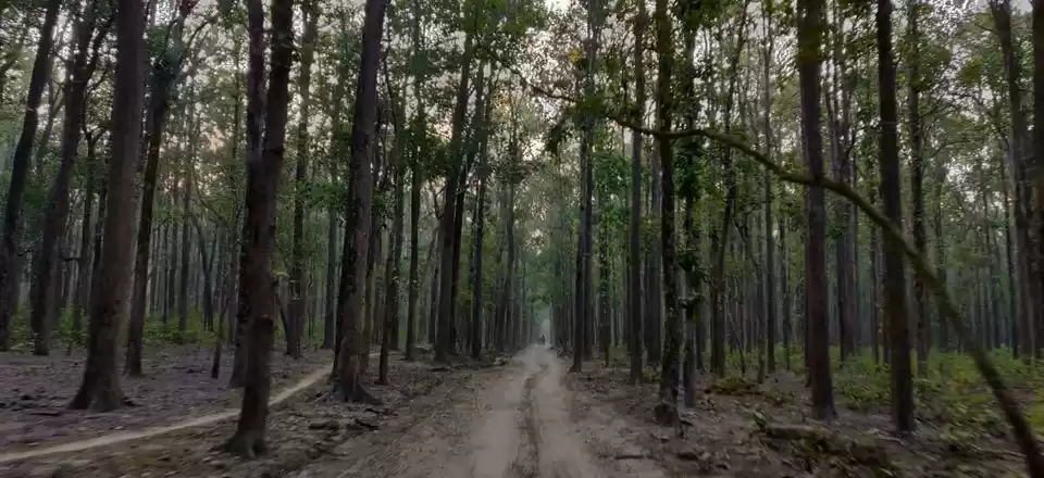 Photo of जिम कॉर्बेट की कड़वी