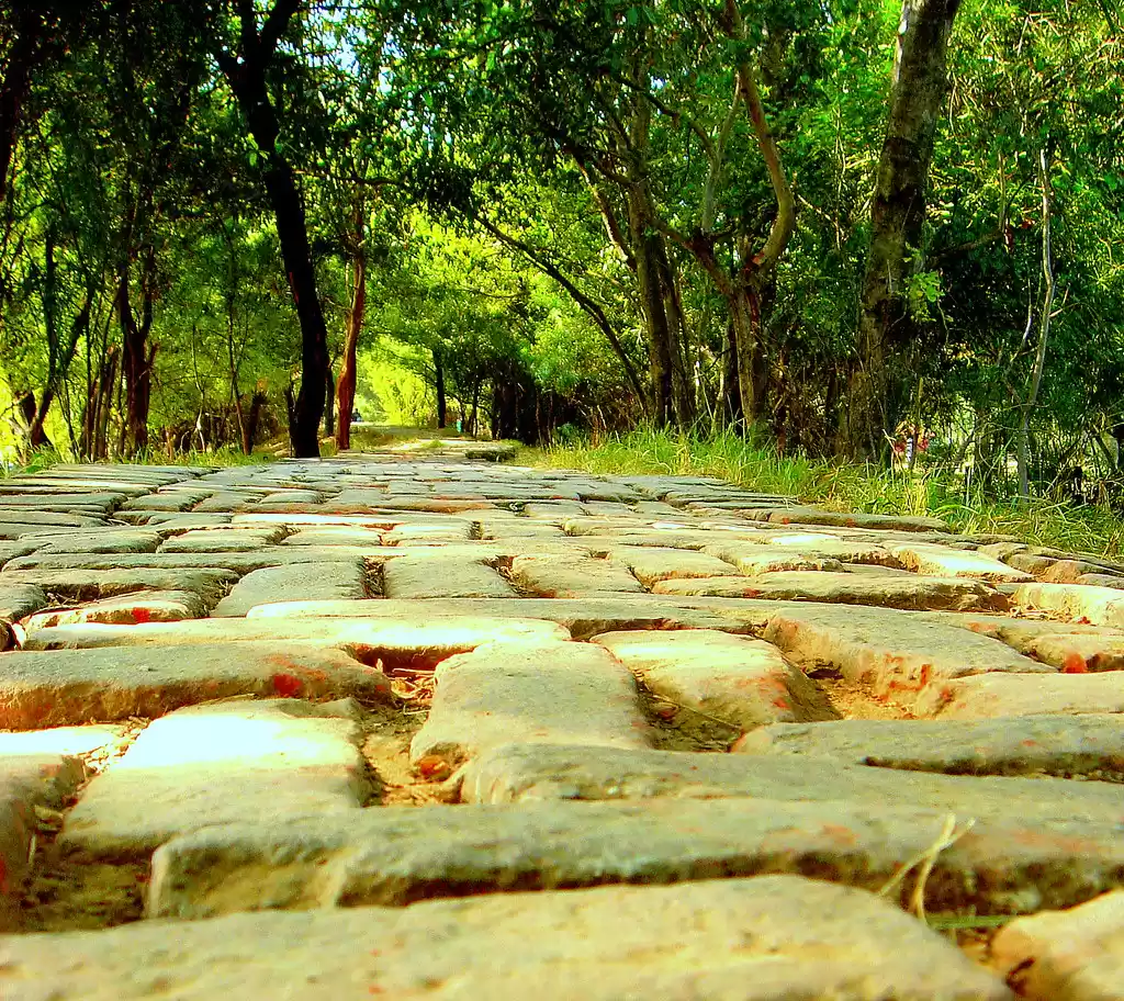 Photo of दिल्ली में पिकनिक मन