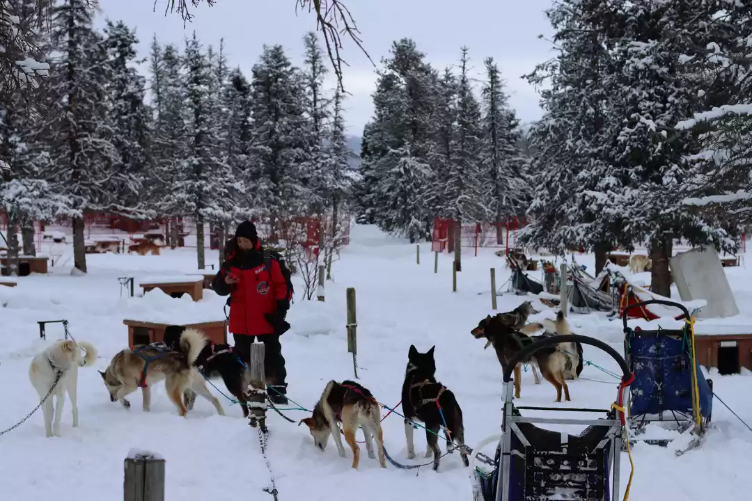 Photo of Yonder Yukon!