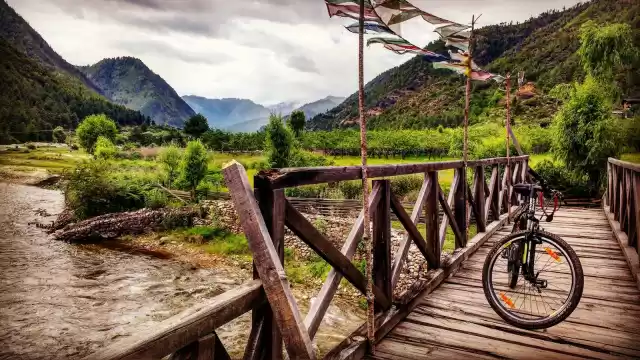 Photo of The Wandering Wheels