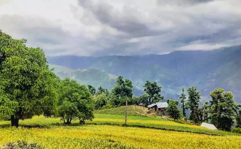 Photo of Phularidhar : A tiny