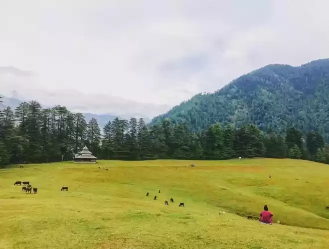 Photo of The Homestay in Hima