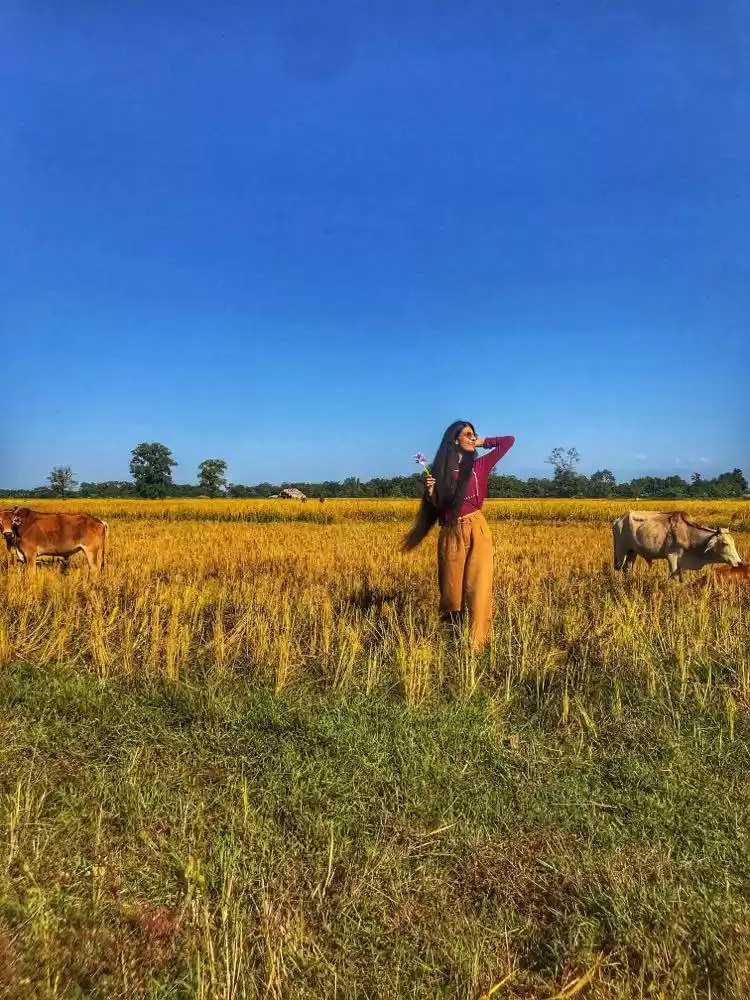 Photo of Sometimes Having No 