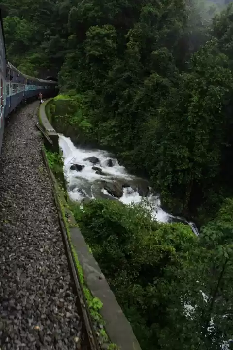 Photo of Dandeli Ride