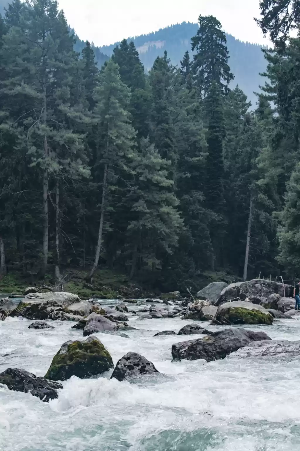 Photo of Betaab Valley,Pahalg