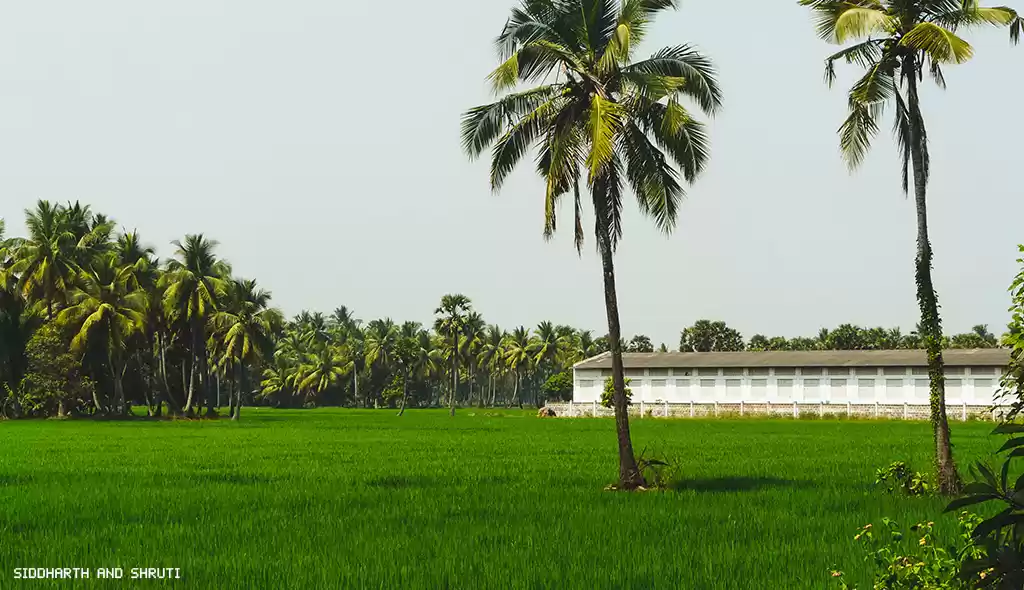 Photo of Dindi - Southeast In