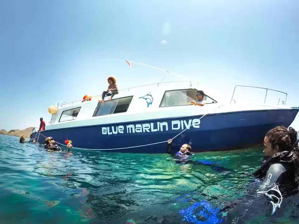 Photo of Blue Marlin, Komodo