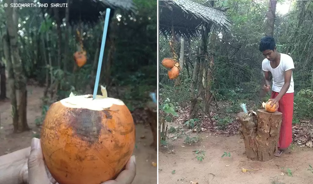 Photo of Mahagedara Retreat -