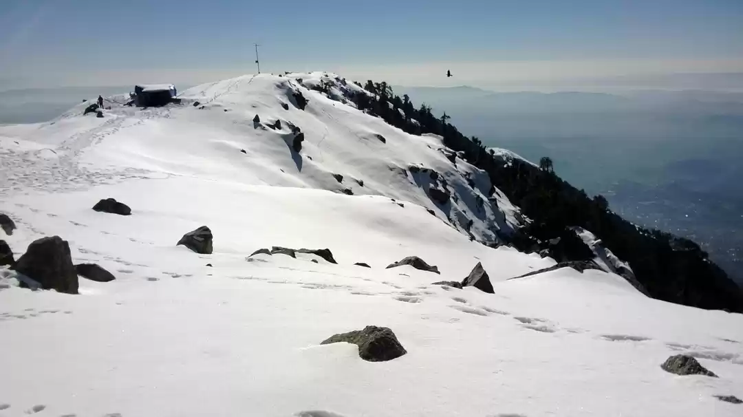 Photo of Triund Winter Trek