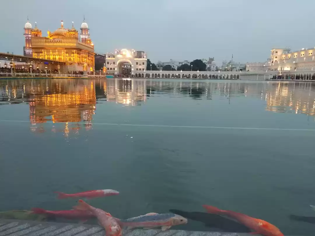 Photo of सांझी विरासत ( साड्ड