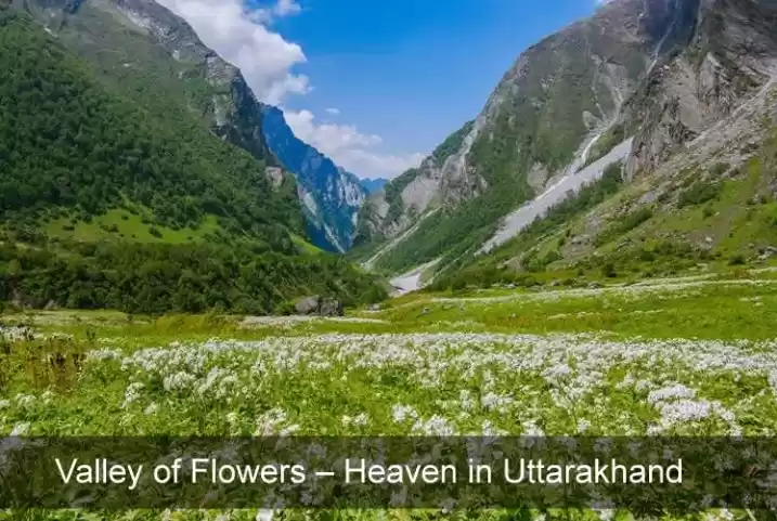 Photo of ये नही देखा तो कुछ न