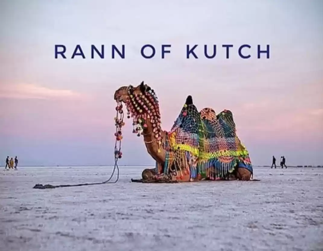 Photo of कच्छ का रण उत्सव – क