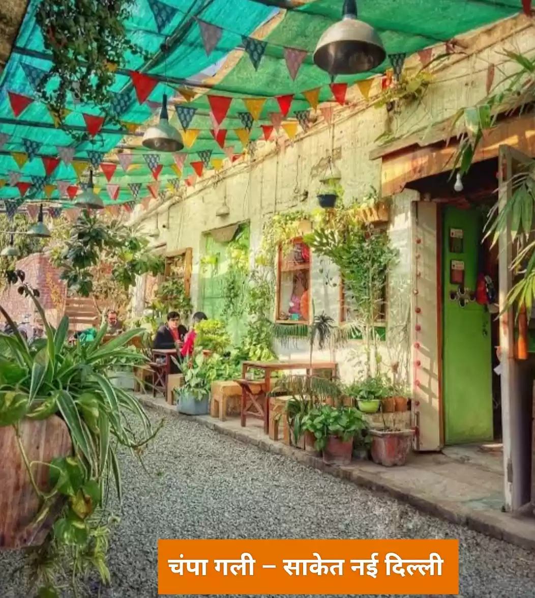 Photo of चंपा गली – साकेत नई 