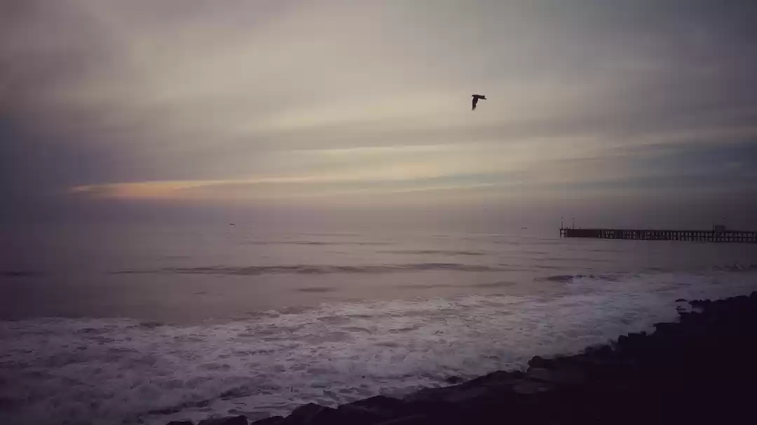 Photo of The French Riviera o