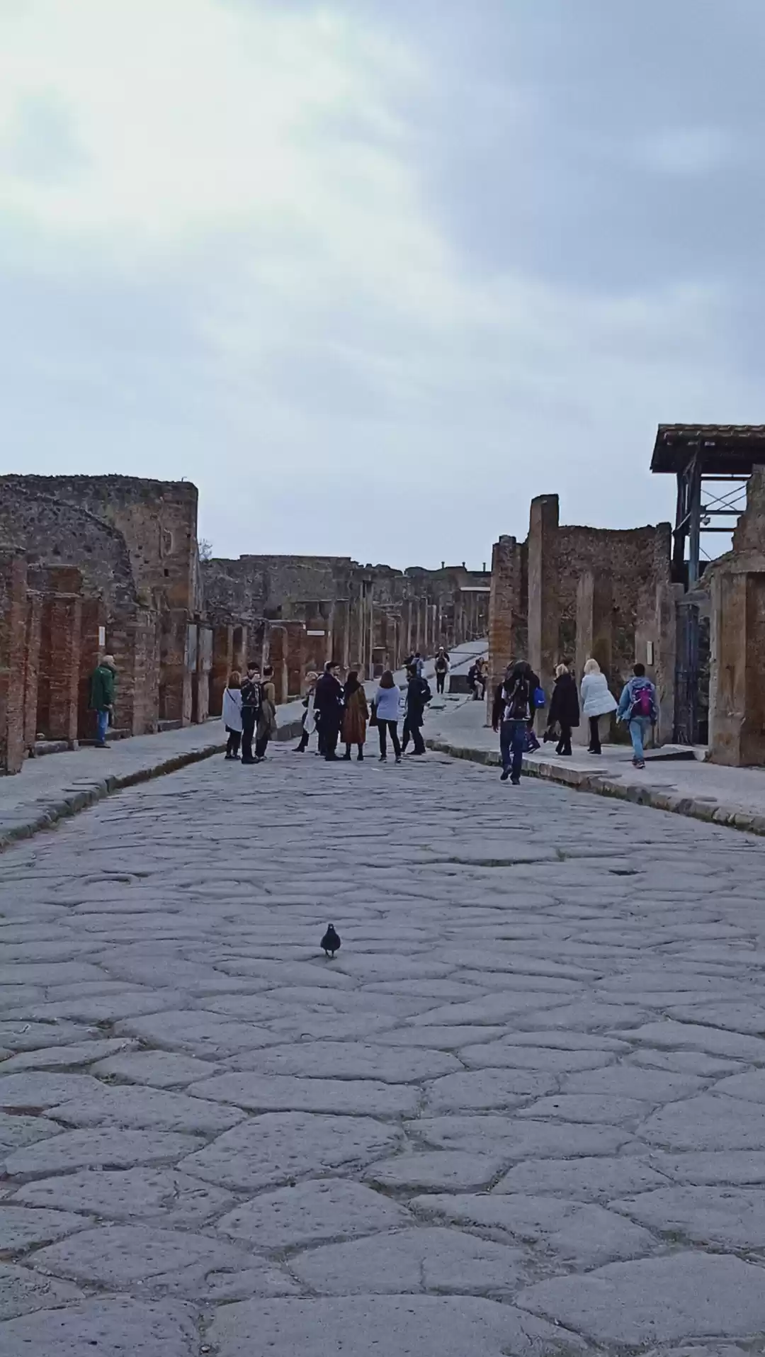 Photo of Go back in Time in t