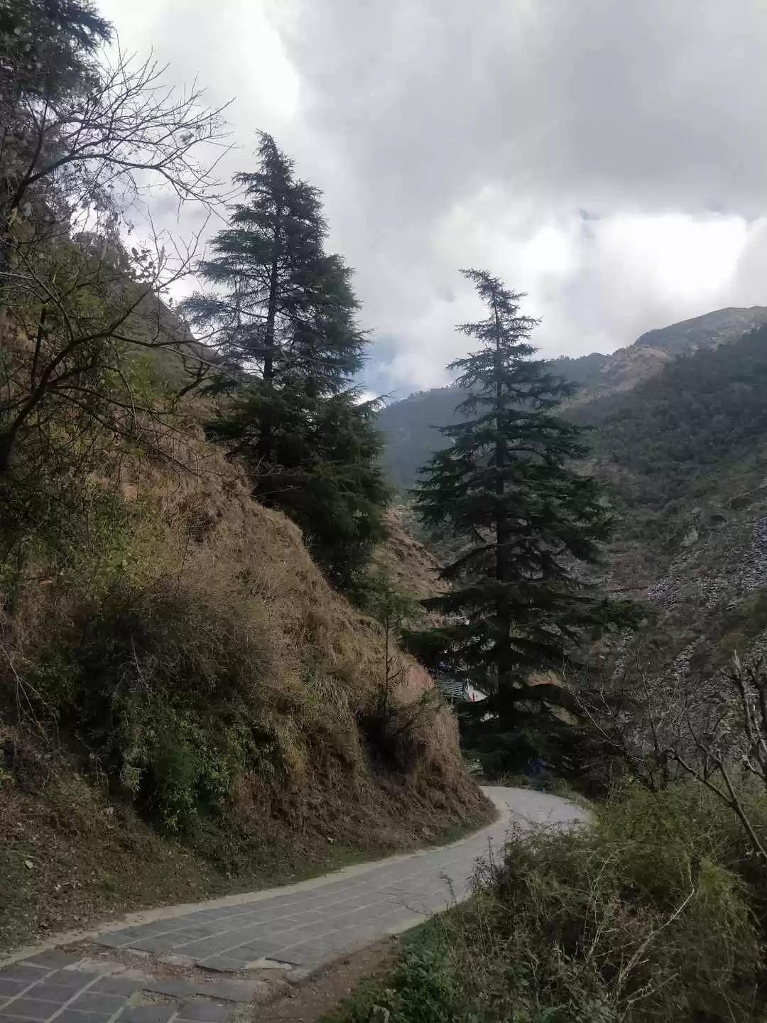 Photo of Trip to Dalai Lama H