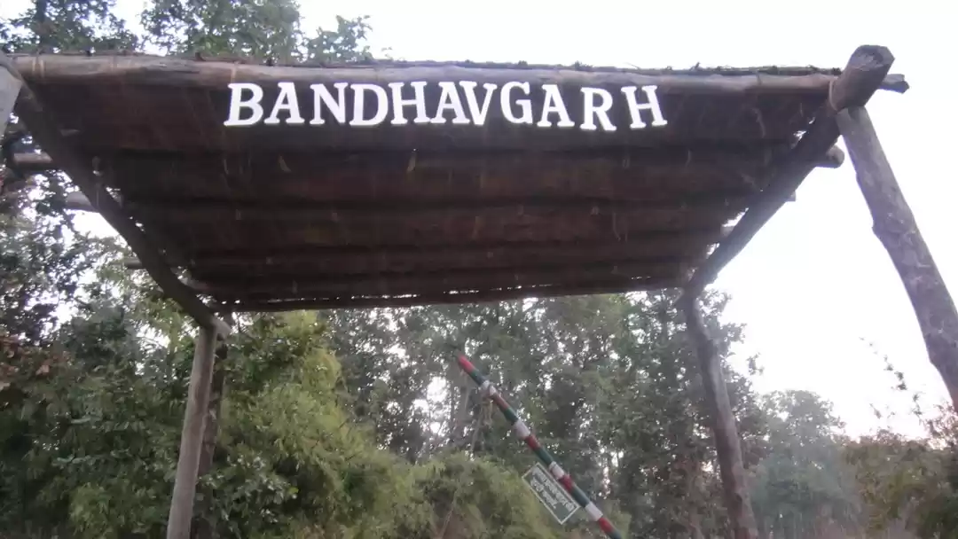 Photo of Bow Down to the King