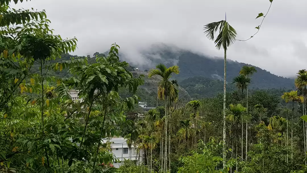 Photo of Monsoon Road Trip to