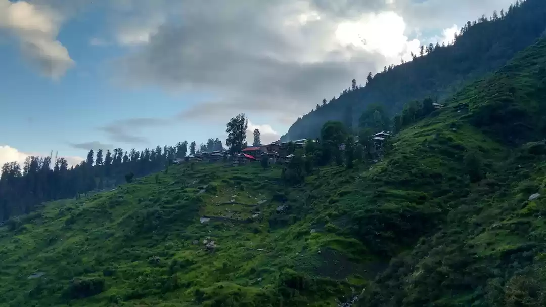 Photo of Malana Cream – The W