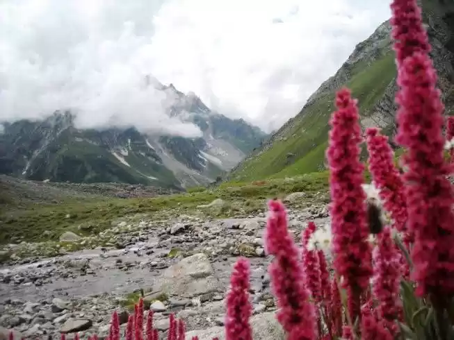 Photo of Nichar Valley – "Sur