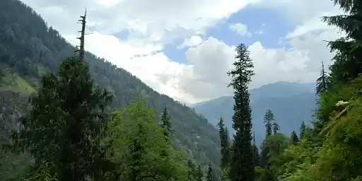 Photo of Manali Wildlife Sanc