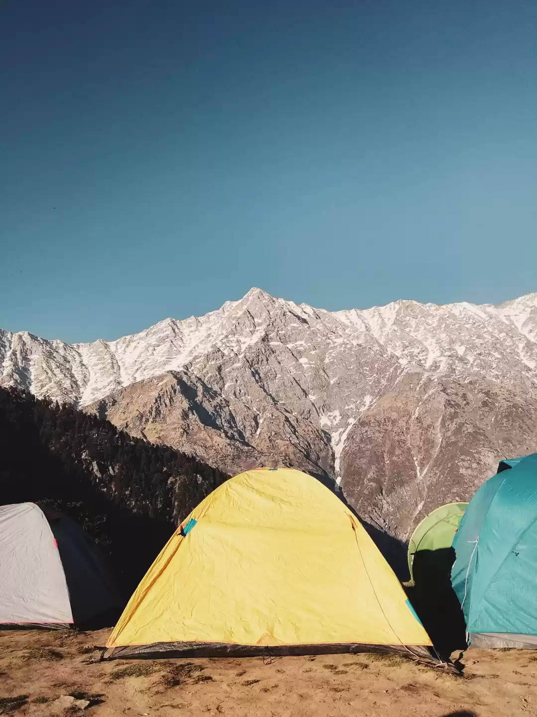 Photo of #Camping scenes when