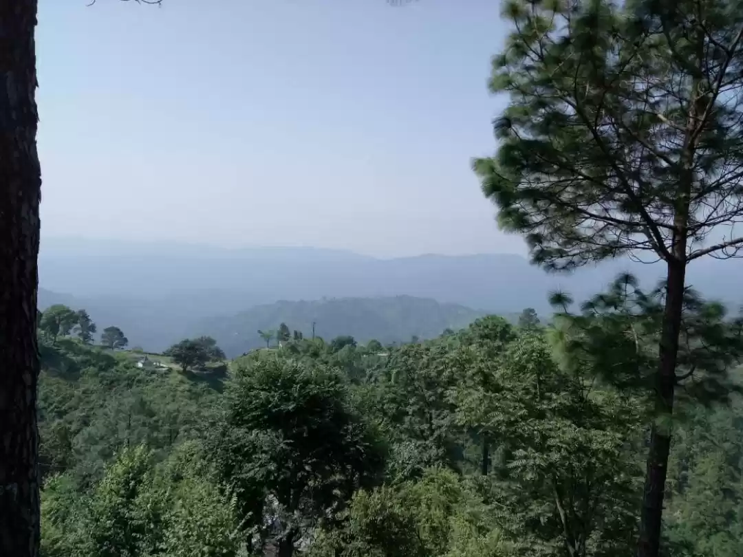 Photo of Beautiful and Serene