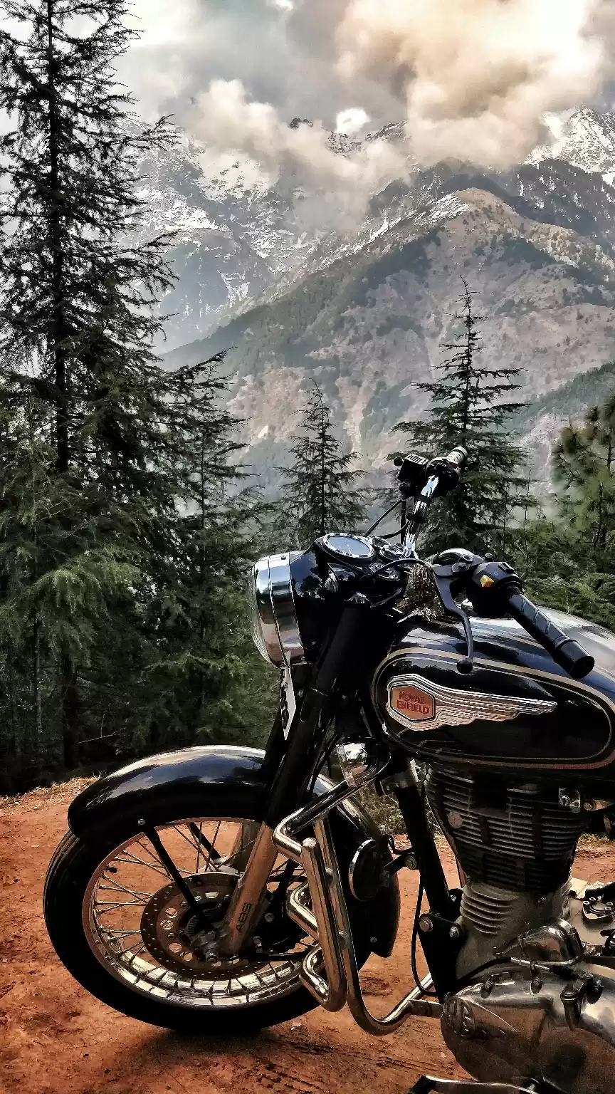 Photo of A hermit's tale: fin