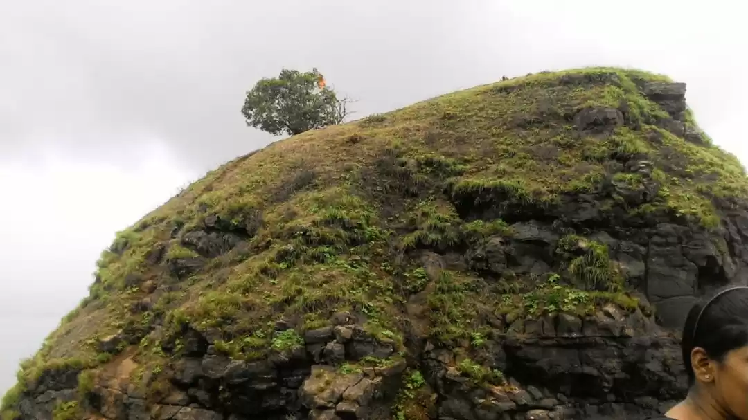 Photo of Nature at its best- 