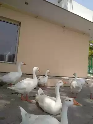 Photo of फॅमिली ट्रिप - चंडीग