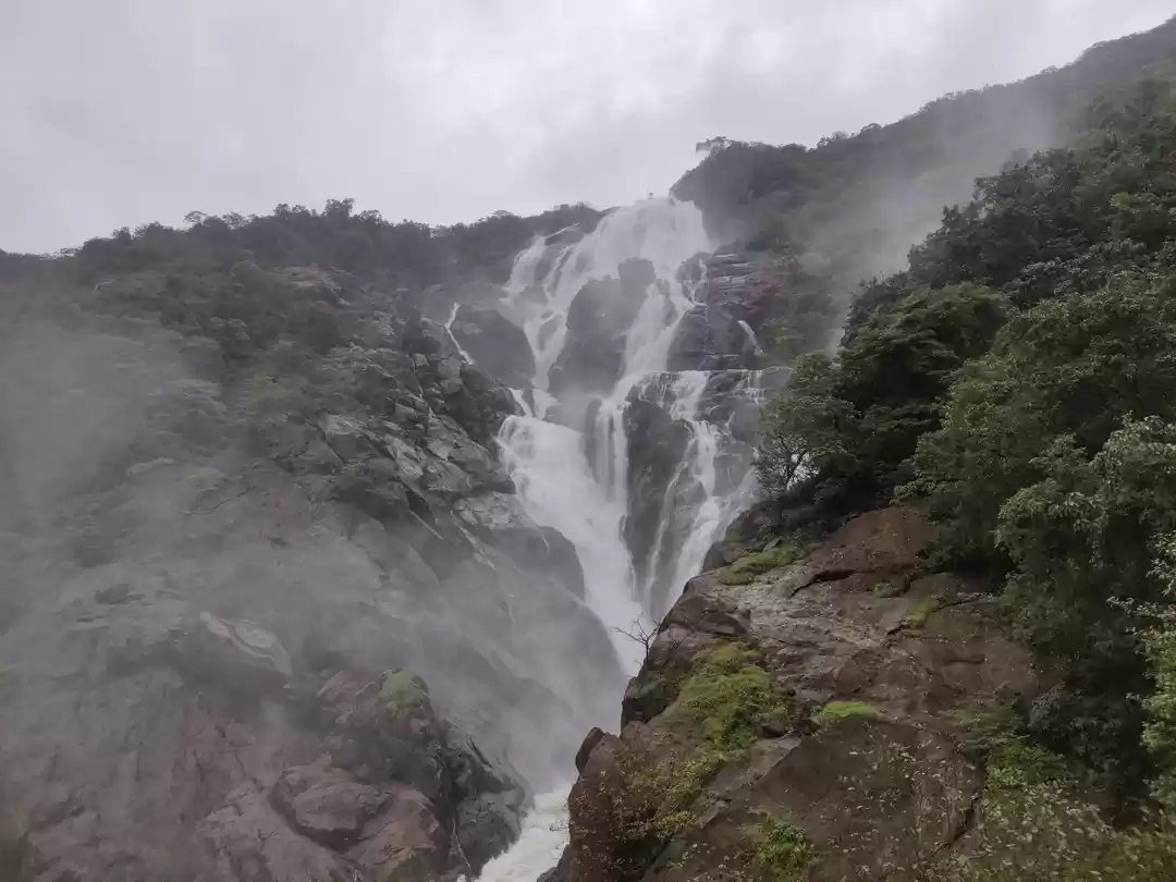 Photo of Trip to Milky Dudhsa