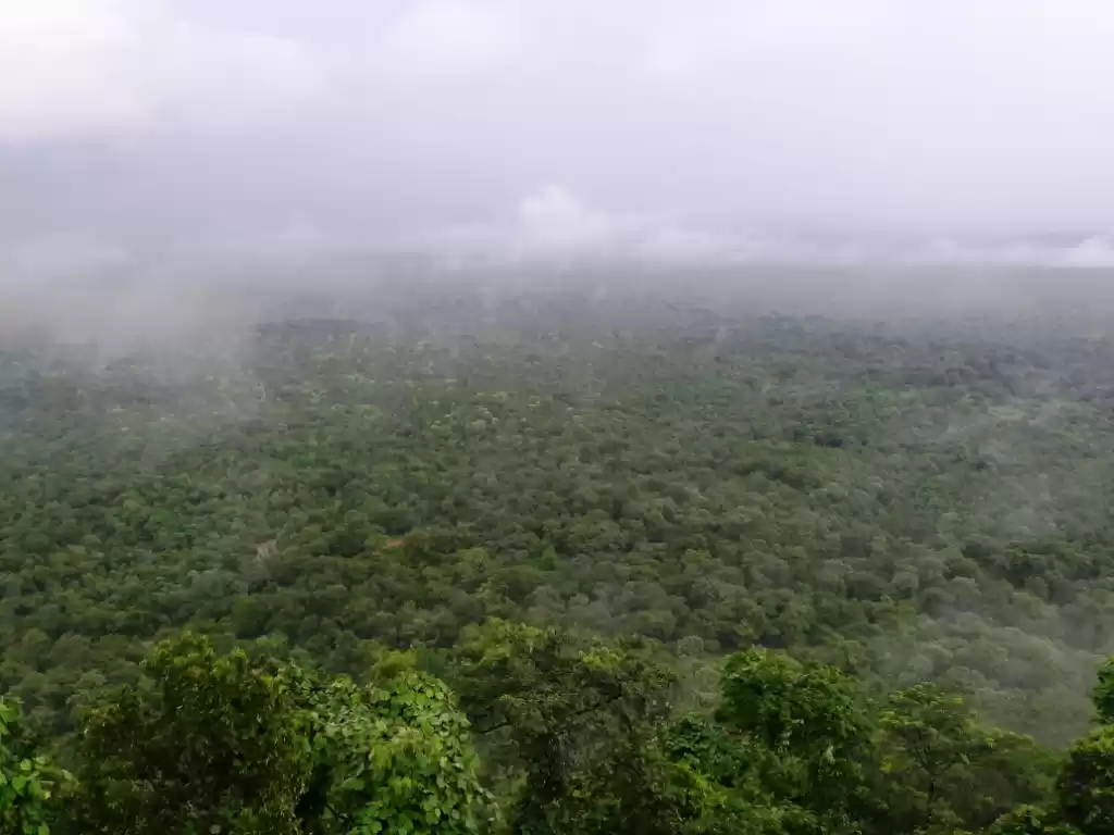 Photo of Jharkhand: The Most 