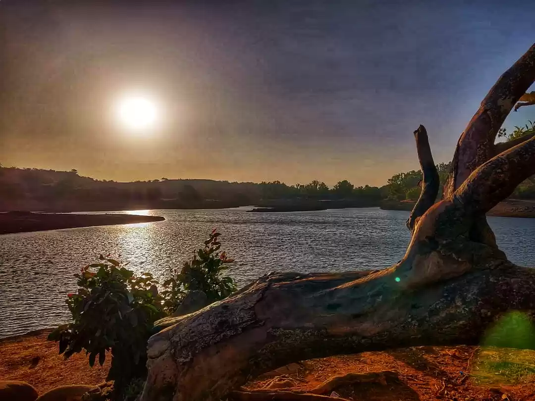 Photo of Tungarli Lake, Lonav