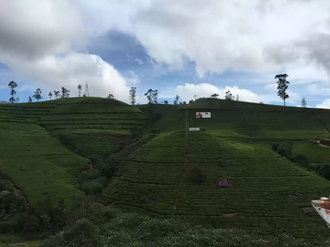 Photo of The Hill Country - N