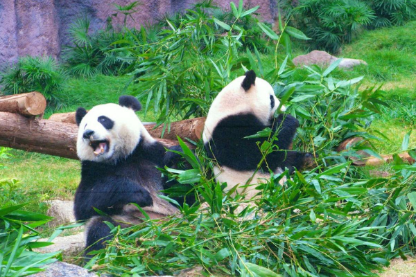 Photo of 5 Reasons To Visit M