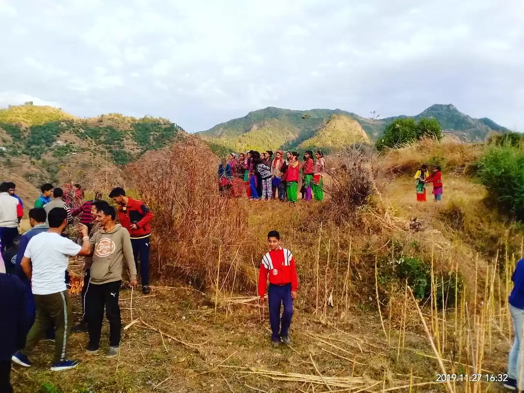 Photo of Kolti camp pictures 