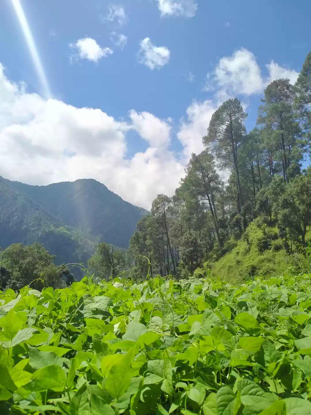 Photo of camping This is the 